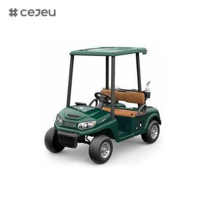 CJ-390 ((مساحة كافية لمقعدين) ، 12V10AH*1، #550*2، 2.4G، الموسيقى، usb، mp3، عربة الغولف مع خيارات ألوان متعددة