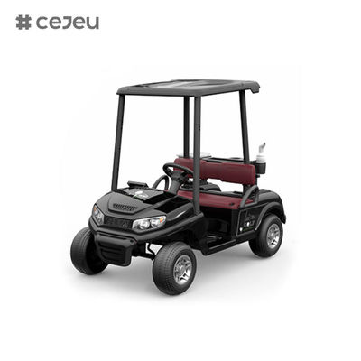 CJ-390 ((مساحة كافية لمقعدين) ، 12V10AH*1، #550*2، 2.4G، الموسيقى، usb، mp3، عربة الغولف مع خيارات ألوان متعددة